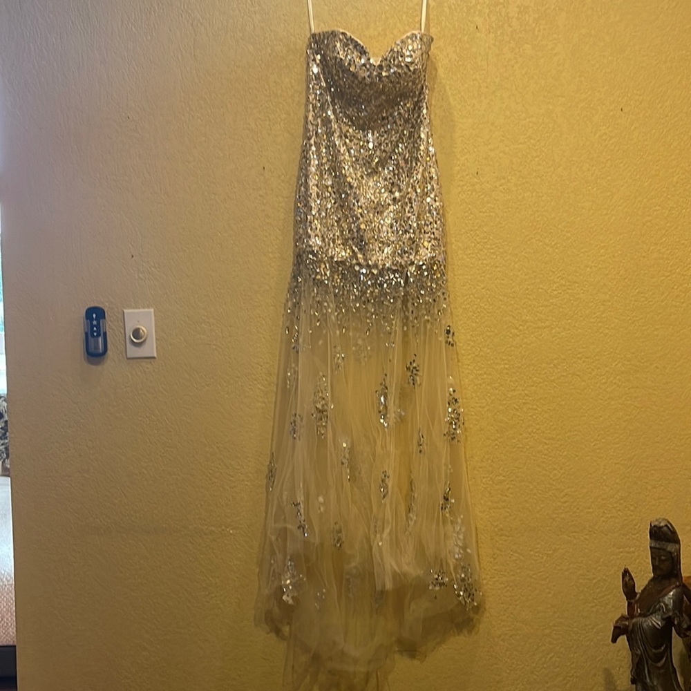 Women’s Dress size 4 Long Evening Gown